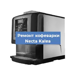 Ремонт заварочного блока на кофемашине Necta Kalea в Белгороде